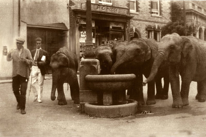 Union Square & Elephants 1934 .jpg