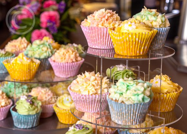 Michael&Susan _193.jpg