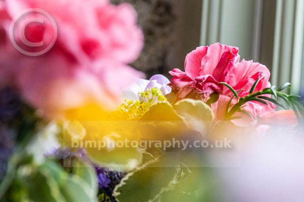 Michael&Susan _261.jpg