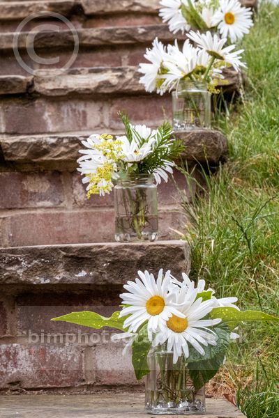 Michael&Susan _263.jpg