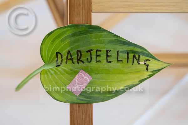 Michael&Susan _265.jpg